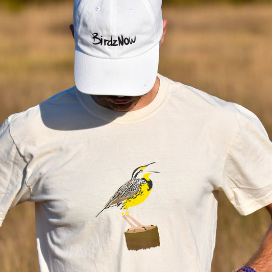 Eastern Meadowlark - T-shirt