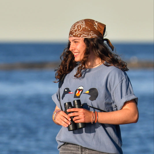 Person holding binoculars with a scenic background
