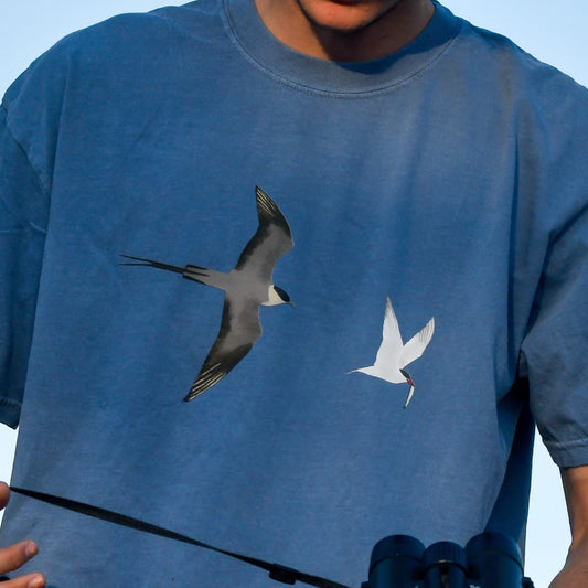 Person wearing a blue t-shirt with bird illustrations on a clear background