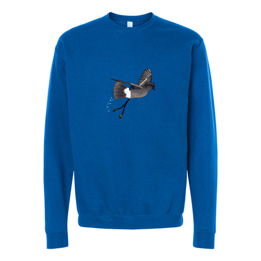 Wilson's Storm-Petrel - Crewneck