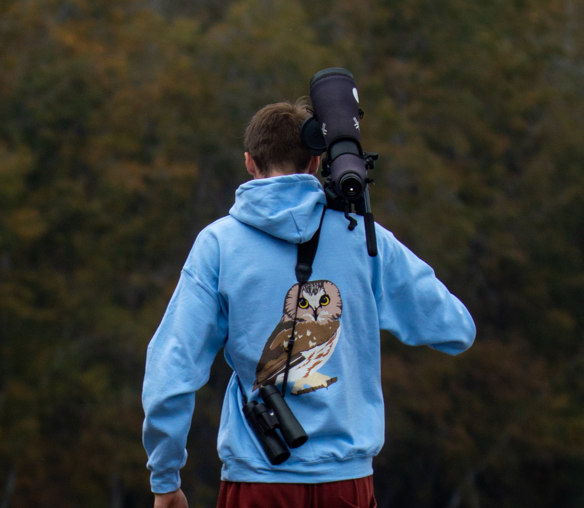 Northen Saw-Wet-Owl - Hoodie - BirdzNow