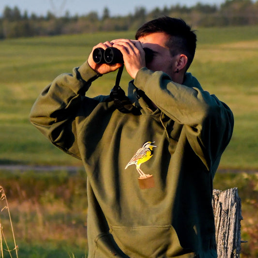 Eastern Meadowlark - Hoodie
