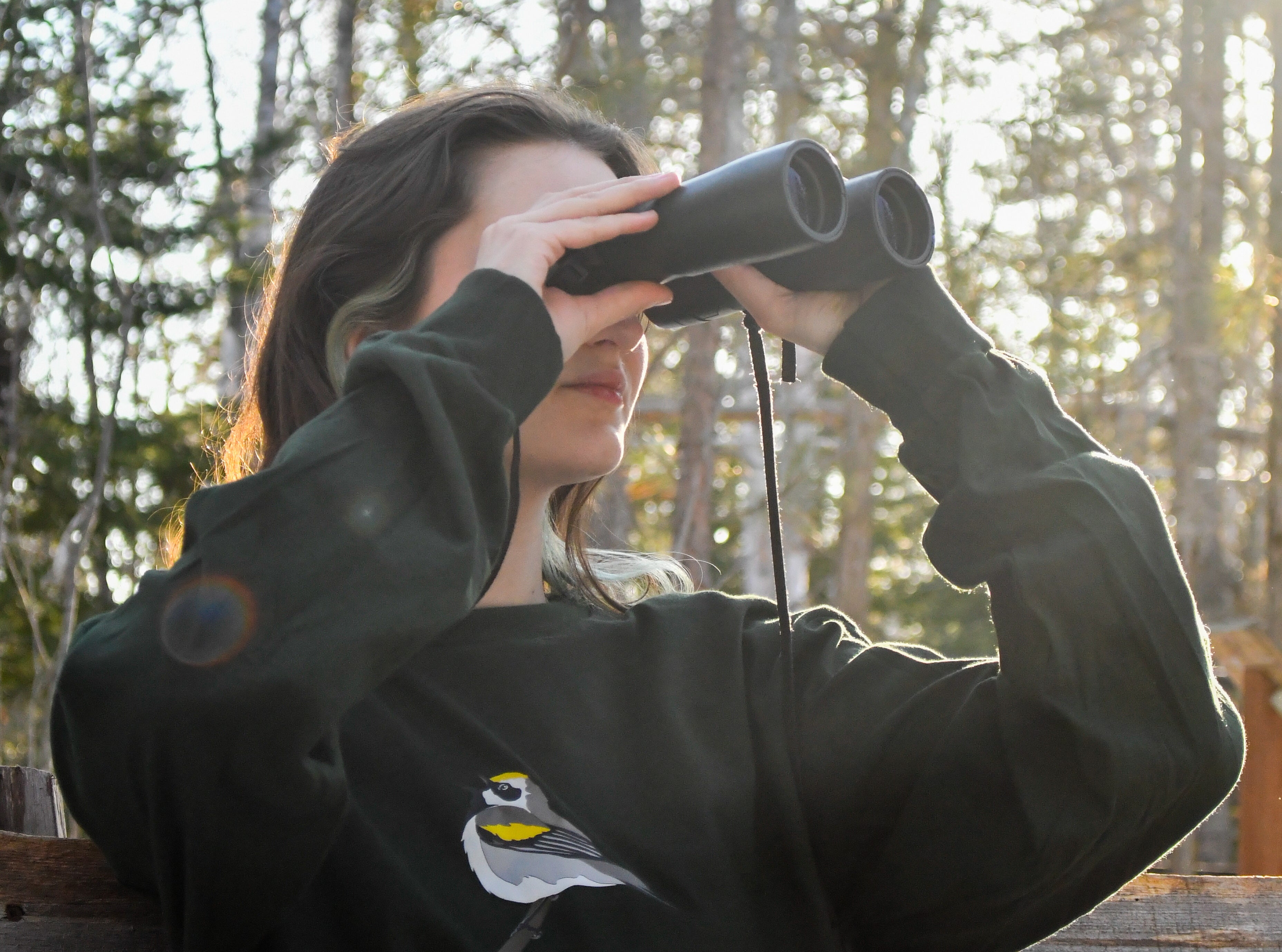 Person using binoculars with a forest background